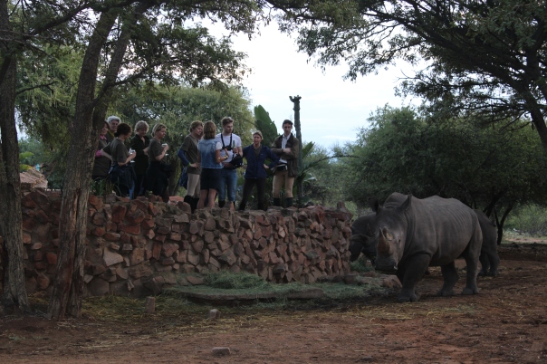 Talk on Rhino
