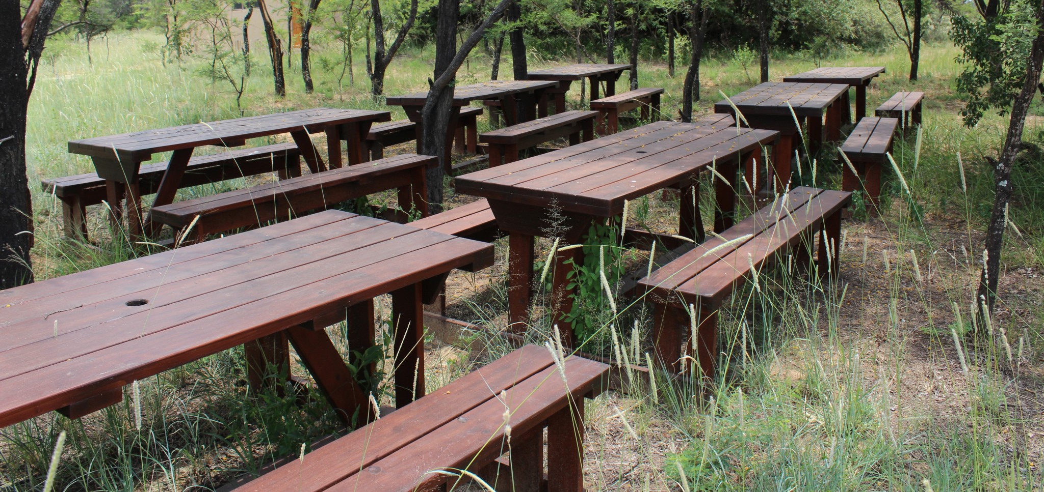 Picnic tables donated by TWT to the Waterberg Living Museum